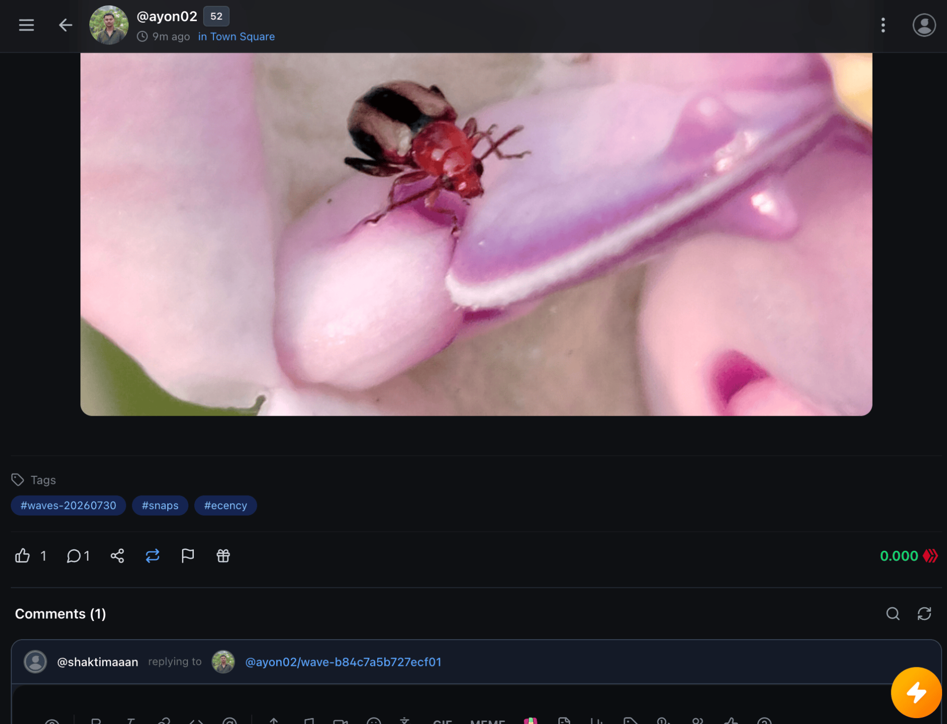 Resnap Detail Page