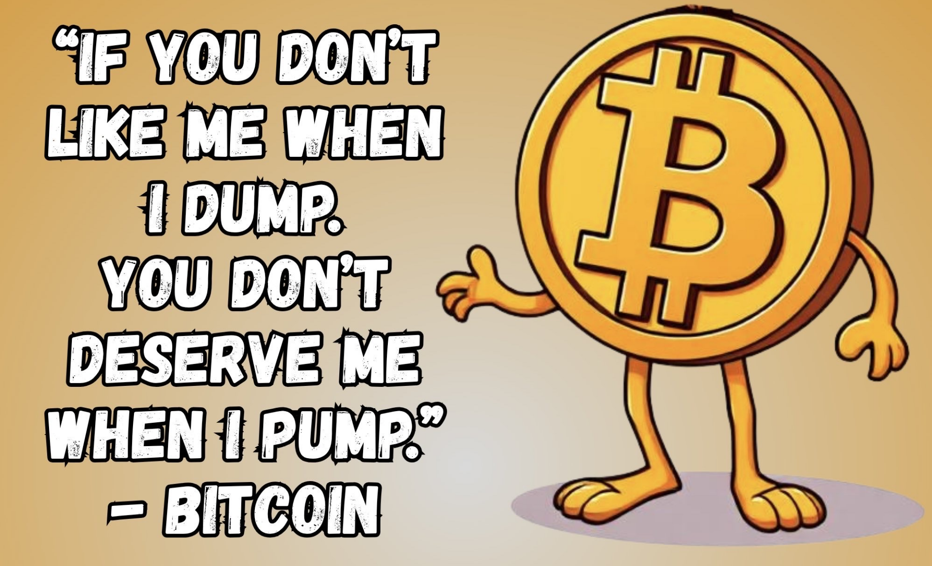 Bitcoin meme