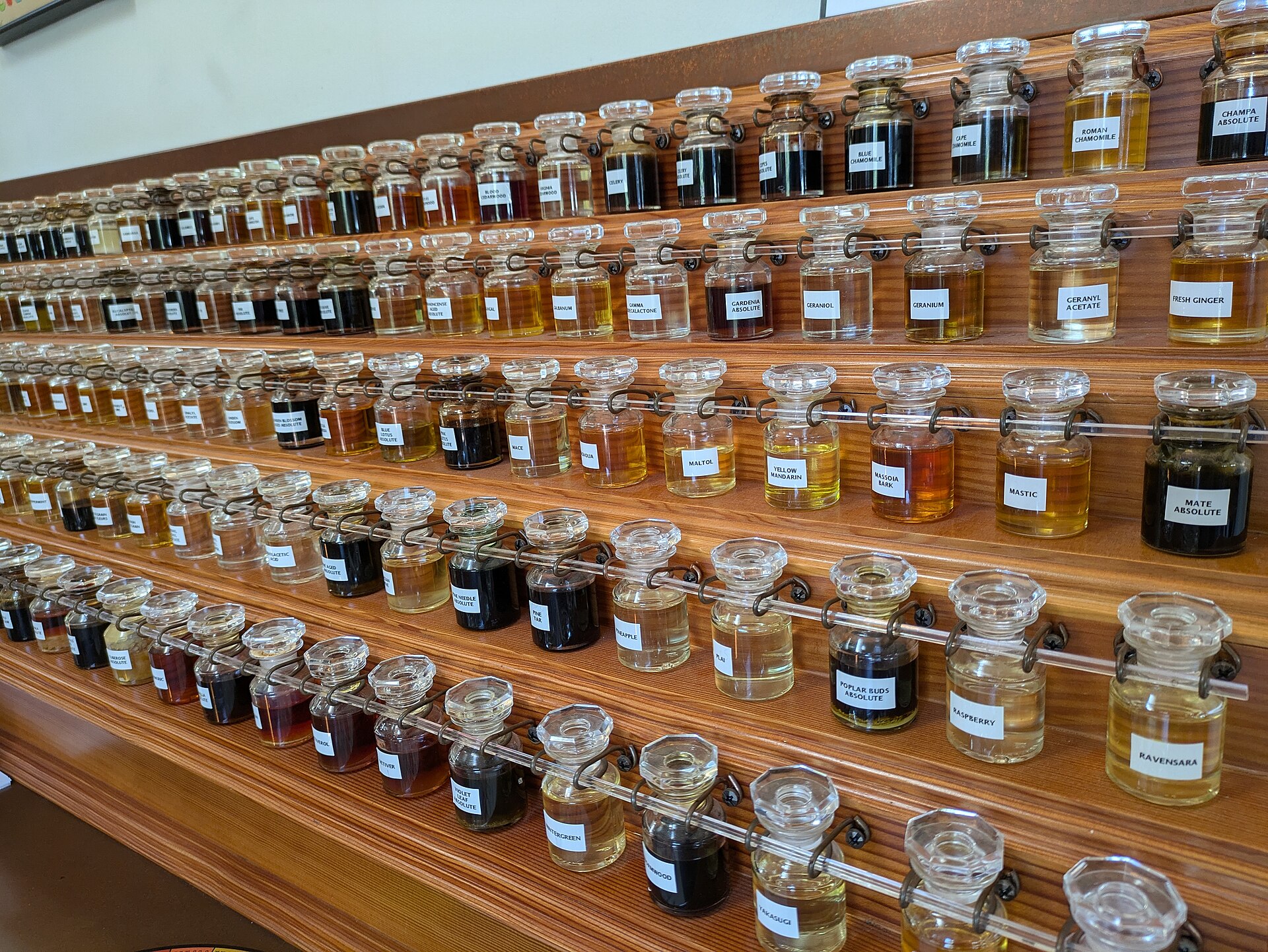 Perfumer's organ