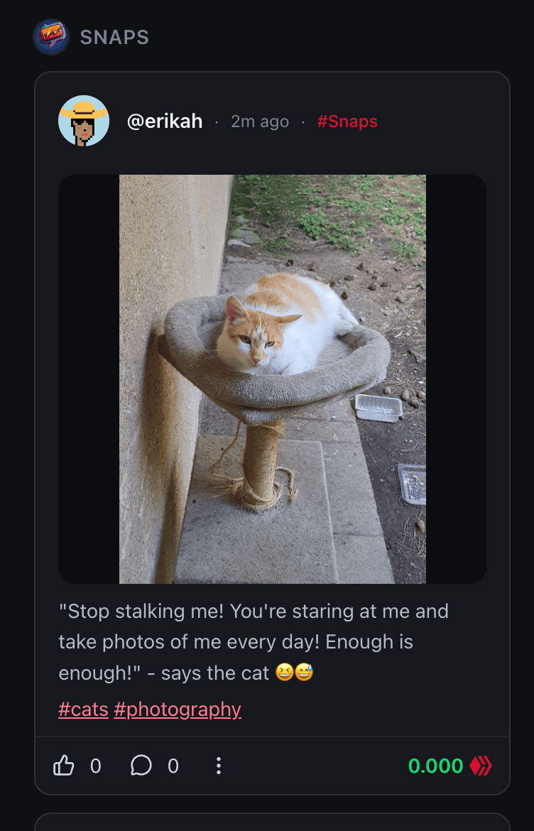 Feed Navigation Stability
