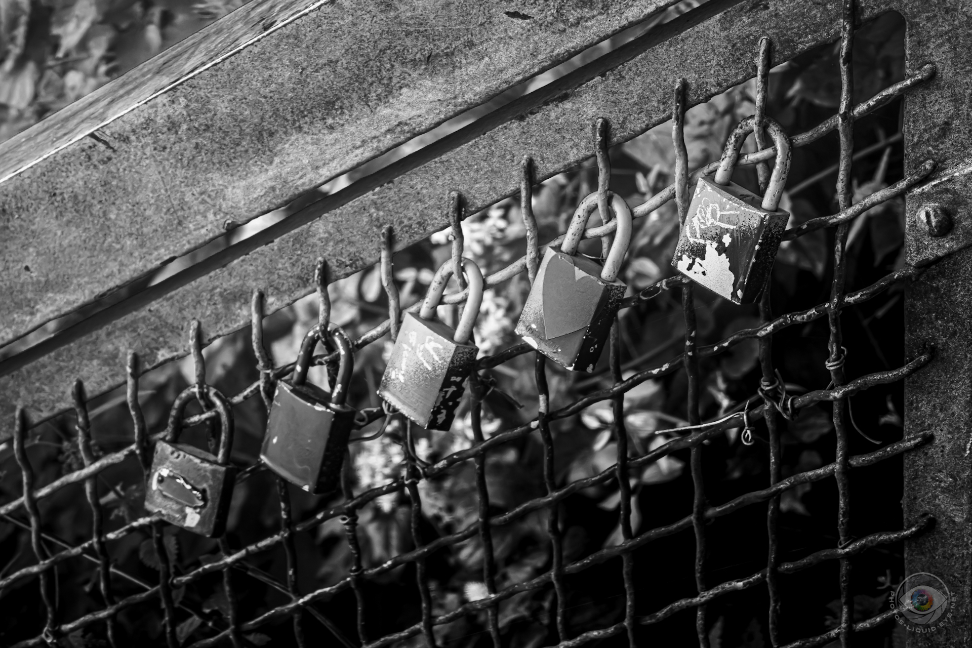 Love Locks