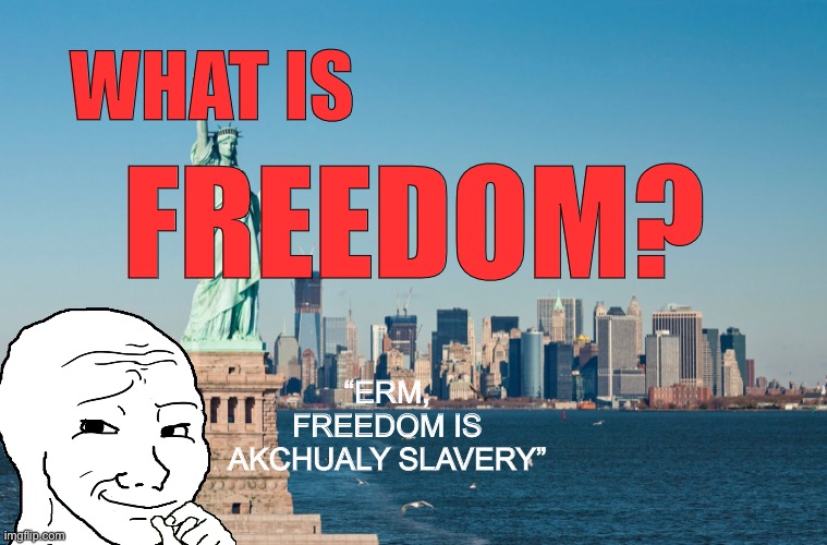 What is Freedom?